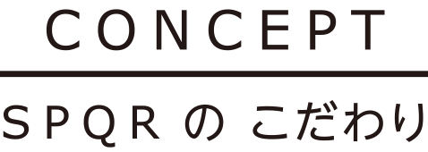 SPQR_concept