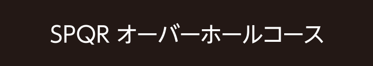 オーバーホールコース